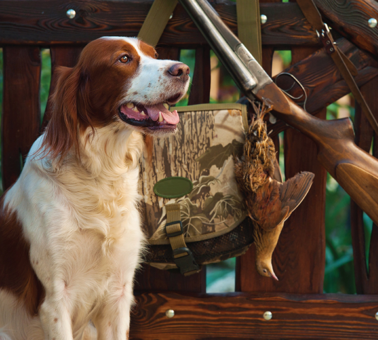 Pepper-Slough-Outfitters-South-Dakota-Hunting-Lodge-Rates-Page-Combo-Image